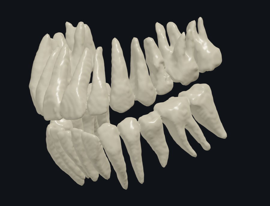 ToothSegで一本ずつ分けた歯の高精細な3D表示